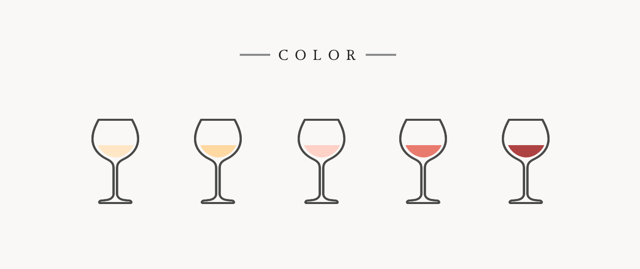 Guide to Wine Tasting Like A Pro