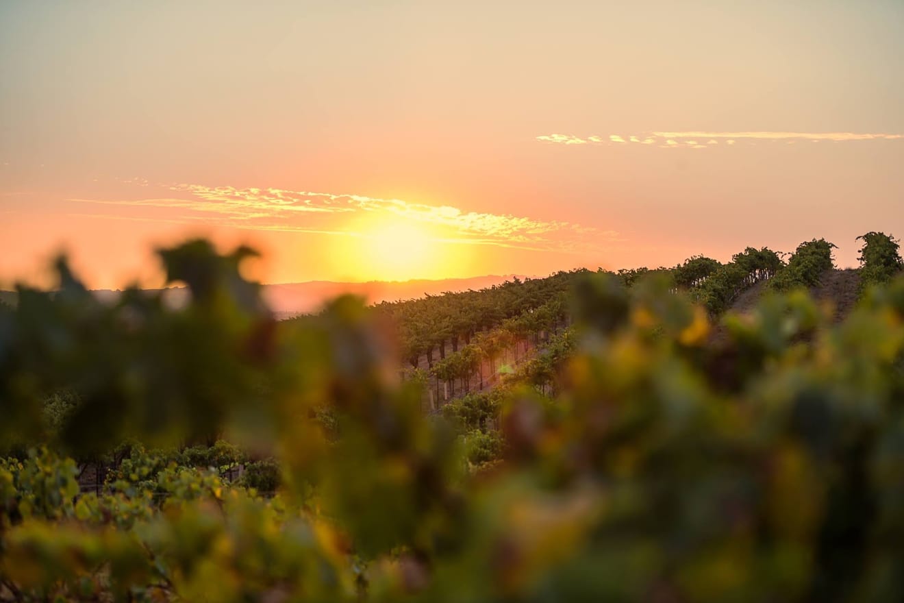 Paso Robles Beyond Wine Experience These Unexpected Things To Do - xjn8pha
