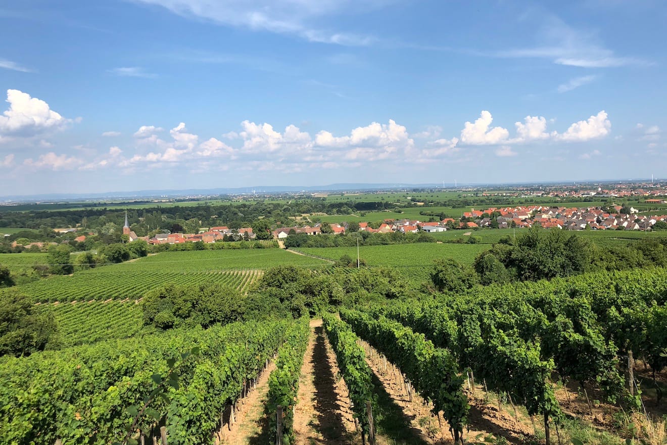 Tour Germany’s Wine Country The Mosel and The Pfalz