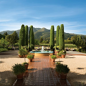 View of the vineyards and estate from Tower