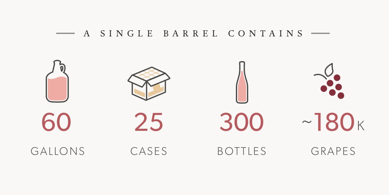 A Guide to Understanding Wine Through Numbers