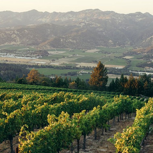 Wine Country Explore Wine Country Online