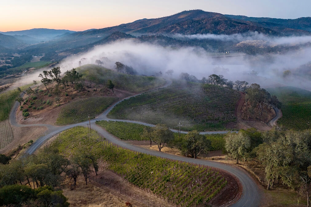 Most Beautiful Wineries in Napa Valley