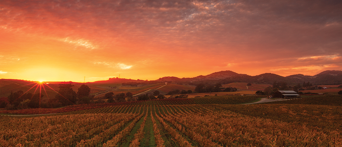 Napa Valley Wineries Compare 2017 s Best Wineries napa-valley-wineries-compare-2017-s-best-wineries