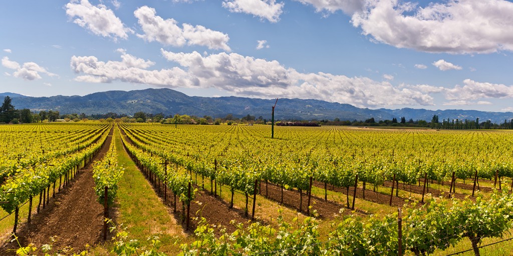 The 8 Best Winery Tours in Calistoga