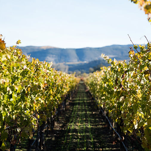 Napa Valley Wineries Compare 2017's Best Wineries