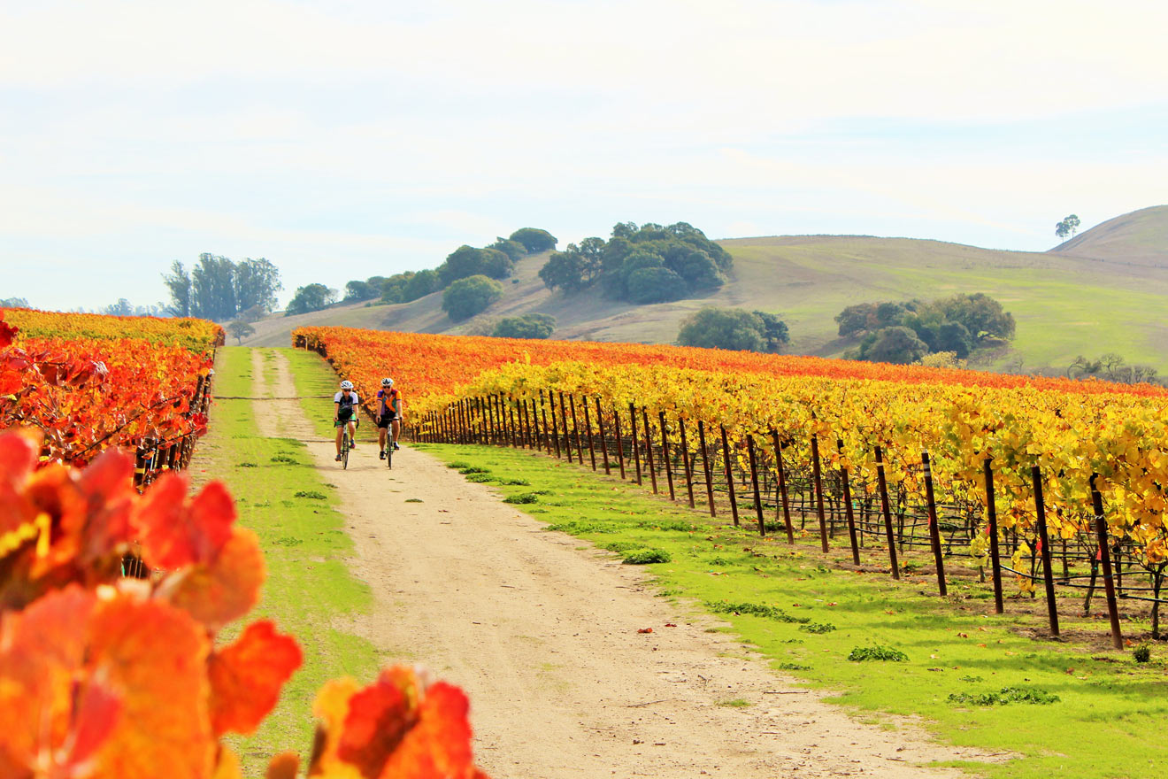 Top 7 Winery Tours in Calistoga