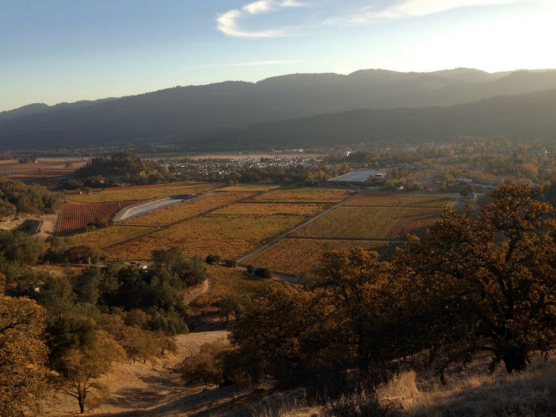 Best Views In Calistoga