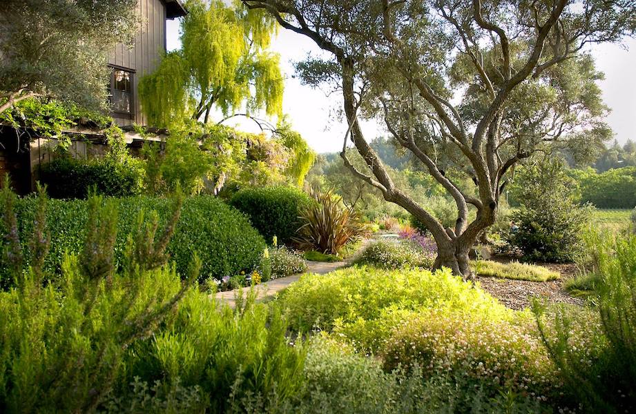 Napa Valley B&Bs With The Best Vineyard Views