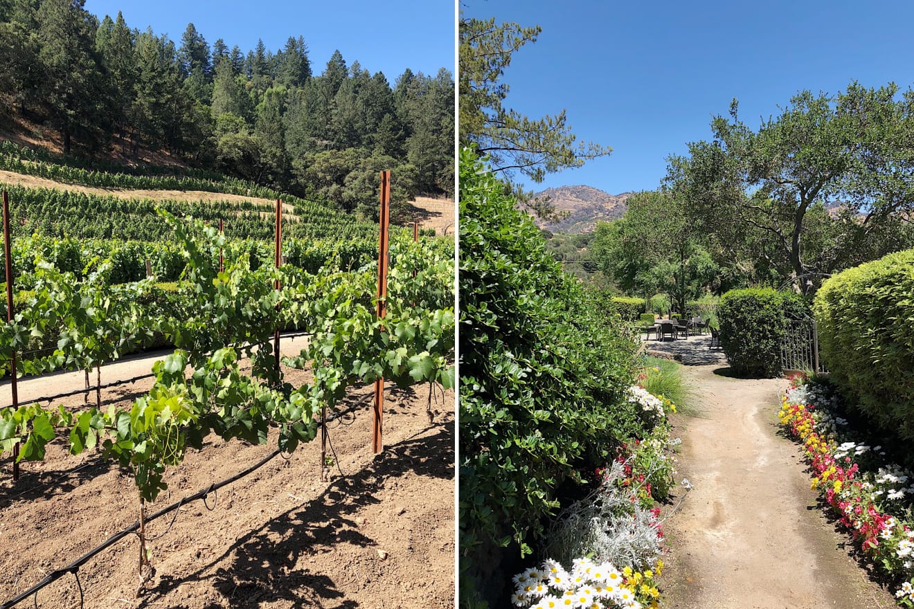 Pine Ridge Vineyards Offers One of Napa’s Best Wine Cave Experiences