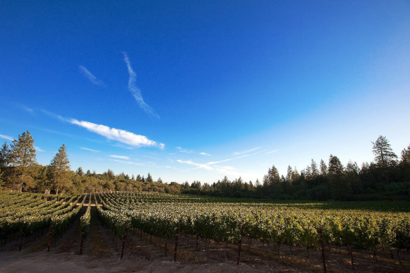 72 Hours Wine Tasting in Calistoga