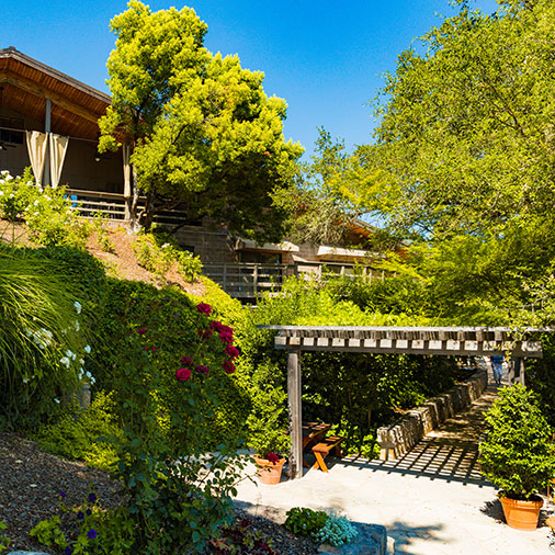 Rombauer Vineyards in Napa Valley