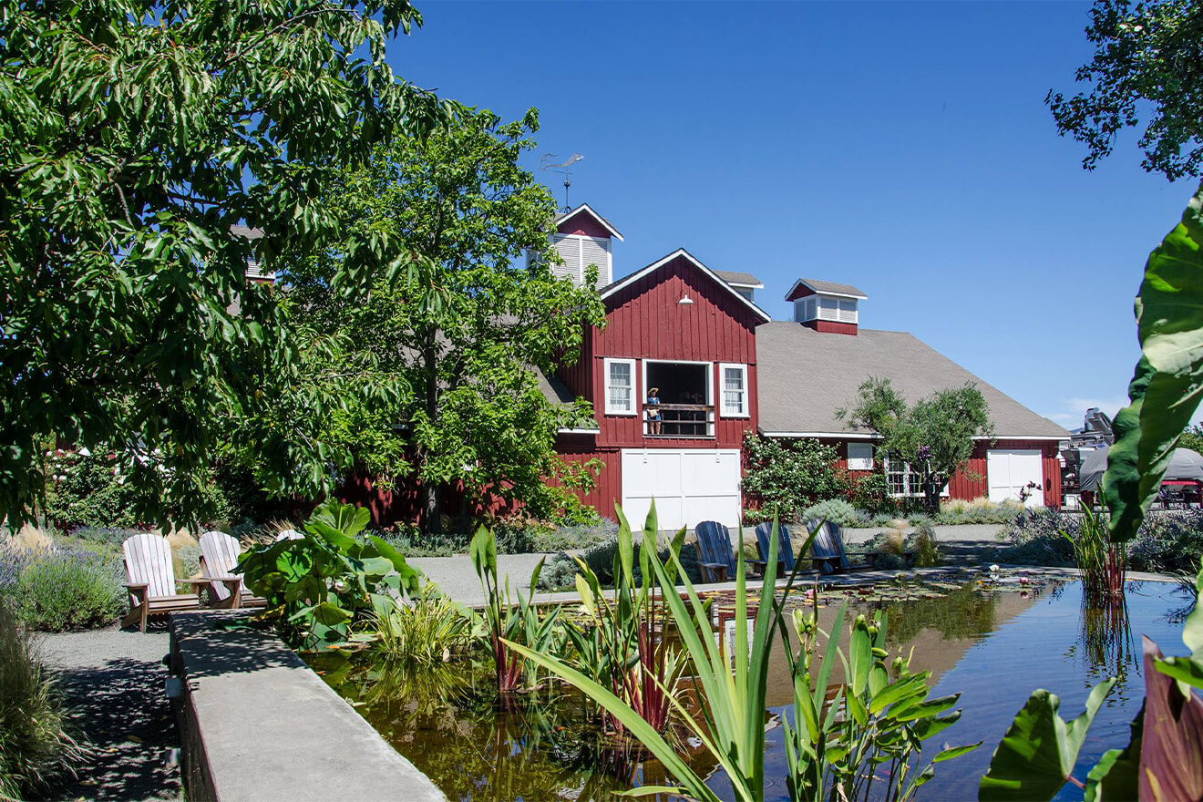 The Best KidFriendly Wineries in Napa Valley