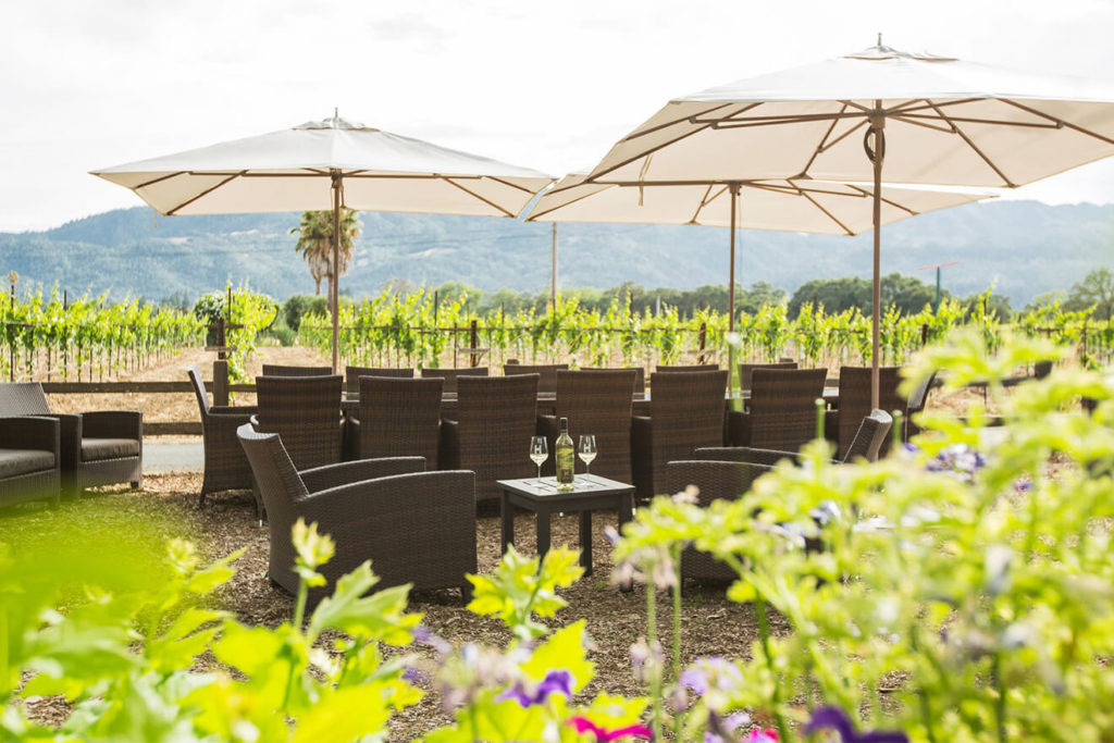 The Best KidFriendly Wineries in Napa Valley
