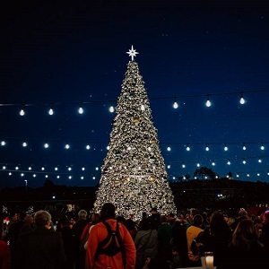Tree Lightening Ceremony At The Village At Vista Collina Resort Napavalley Com