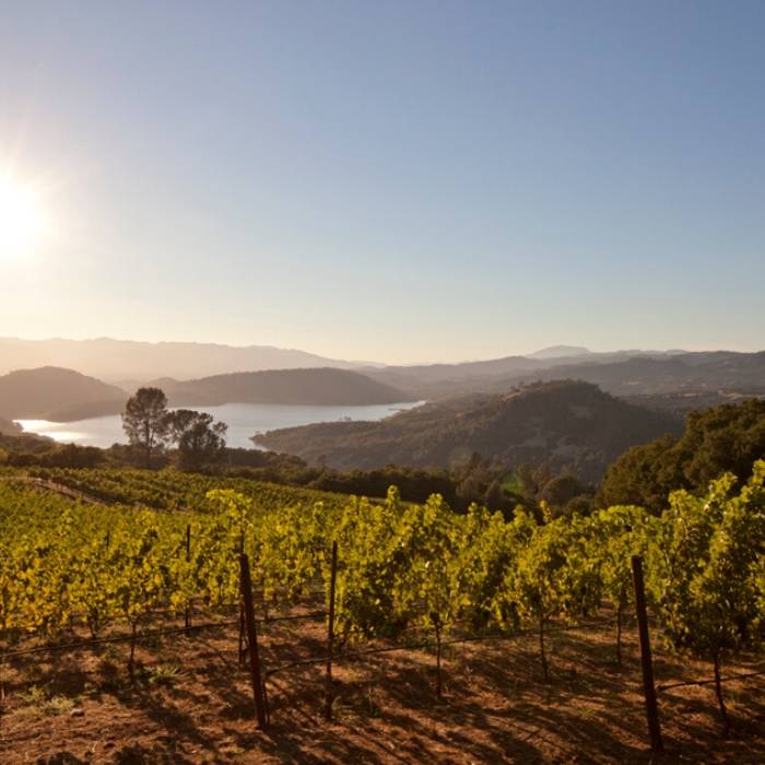 Napa Valley Wineries Compare 2022's Best Wineries