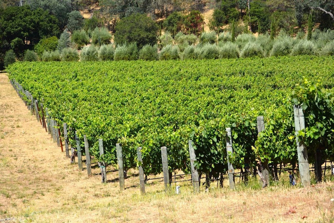 The 15 Best Wineries in Calistoga