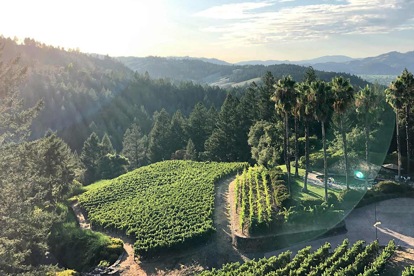 The 15 Best Wineries in Calistoga