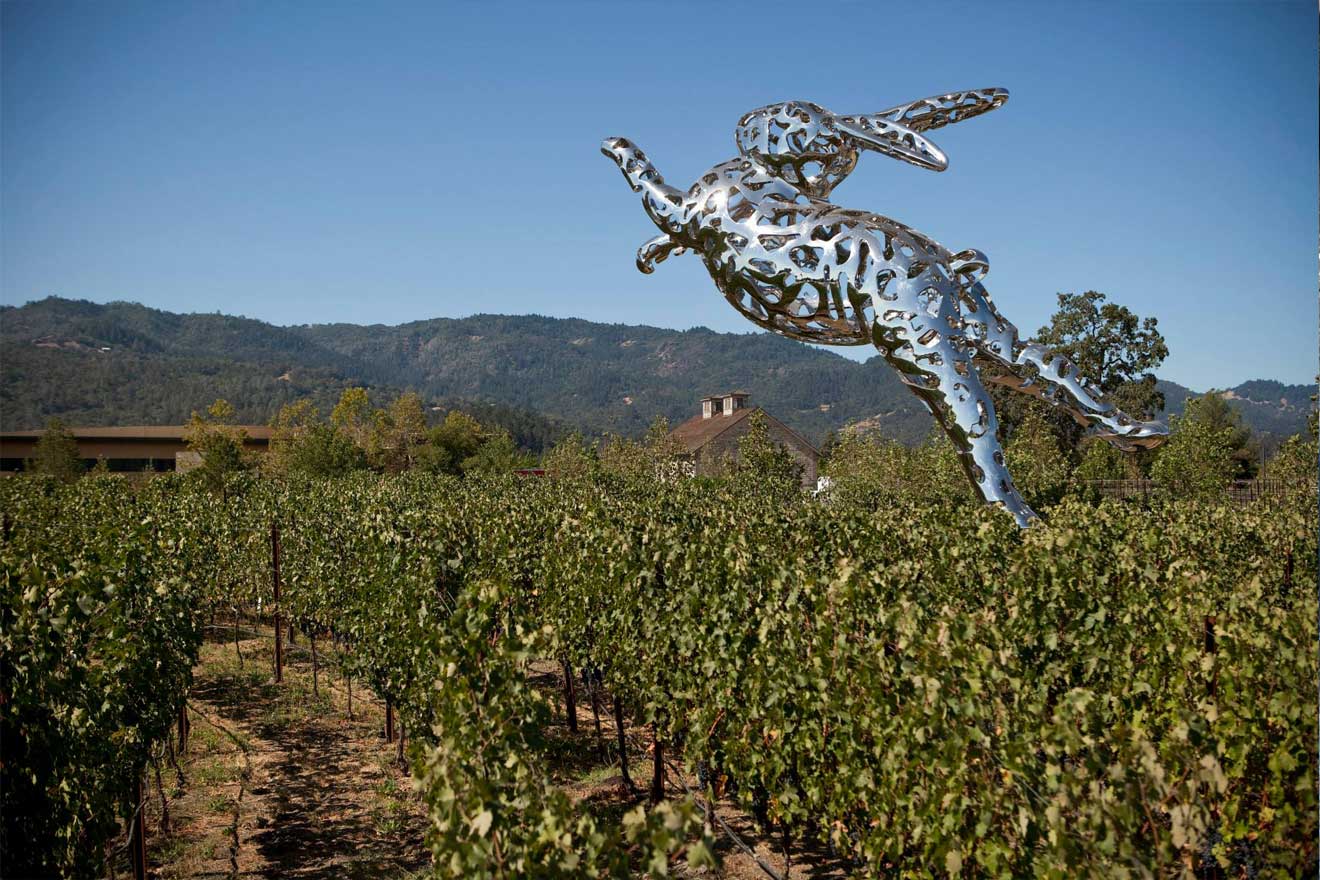 10 Best Dogfriendly Wineries in Napa Valley