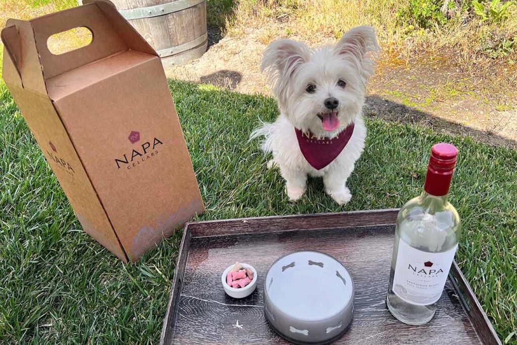 10 Best Dogfriendly Wineries in Napa Valley