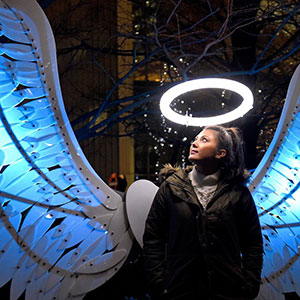 Napa Valley, CA Weather Forecast