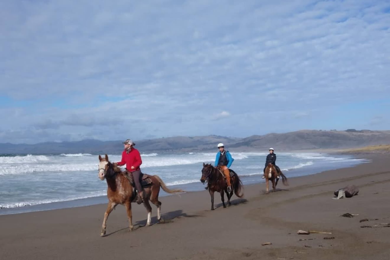 Top 7 Things to do in Bodega Bay