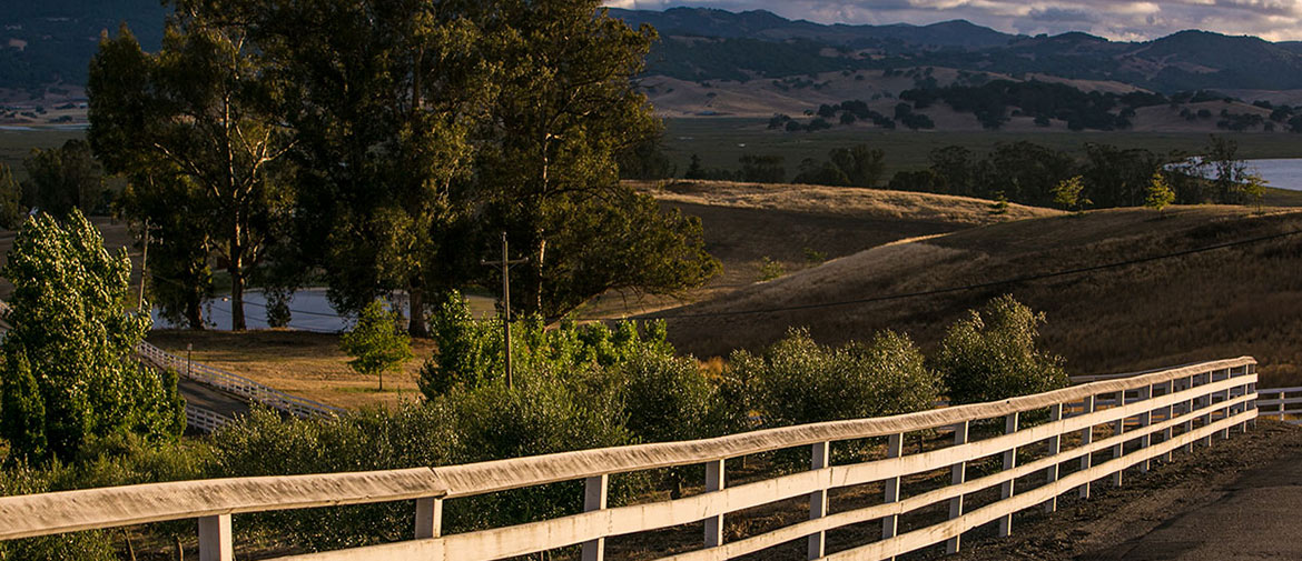 Petaluma, California Travel Guide