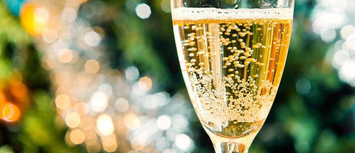 Sonoma County Guides