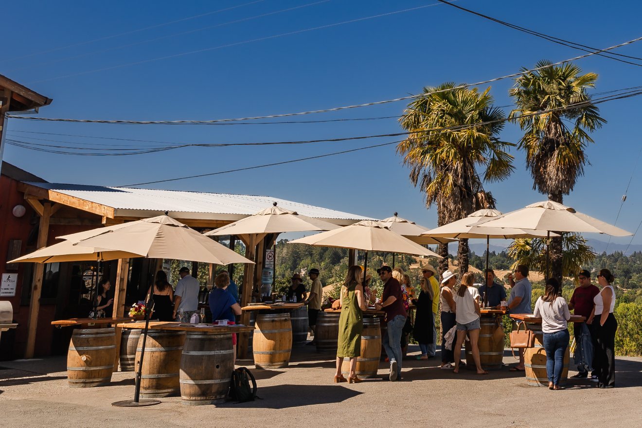 The Best Outdoor Wine Tasting Experiences in Sonoma Valley