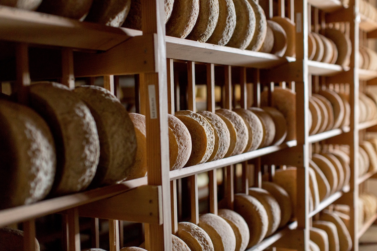 Expert Guide to Sonoma Wine & Cheese Pairings