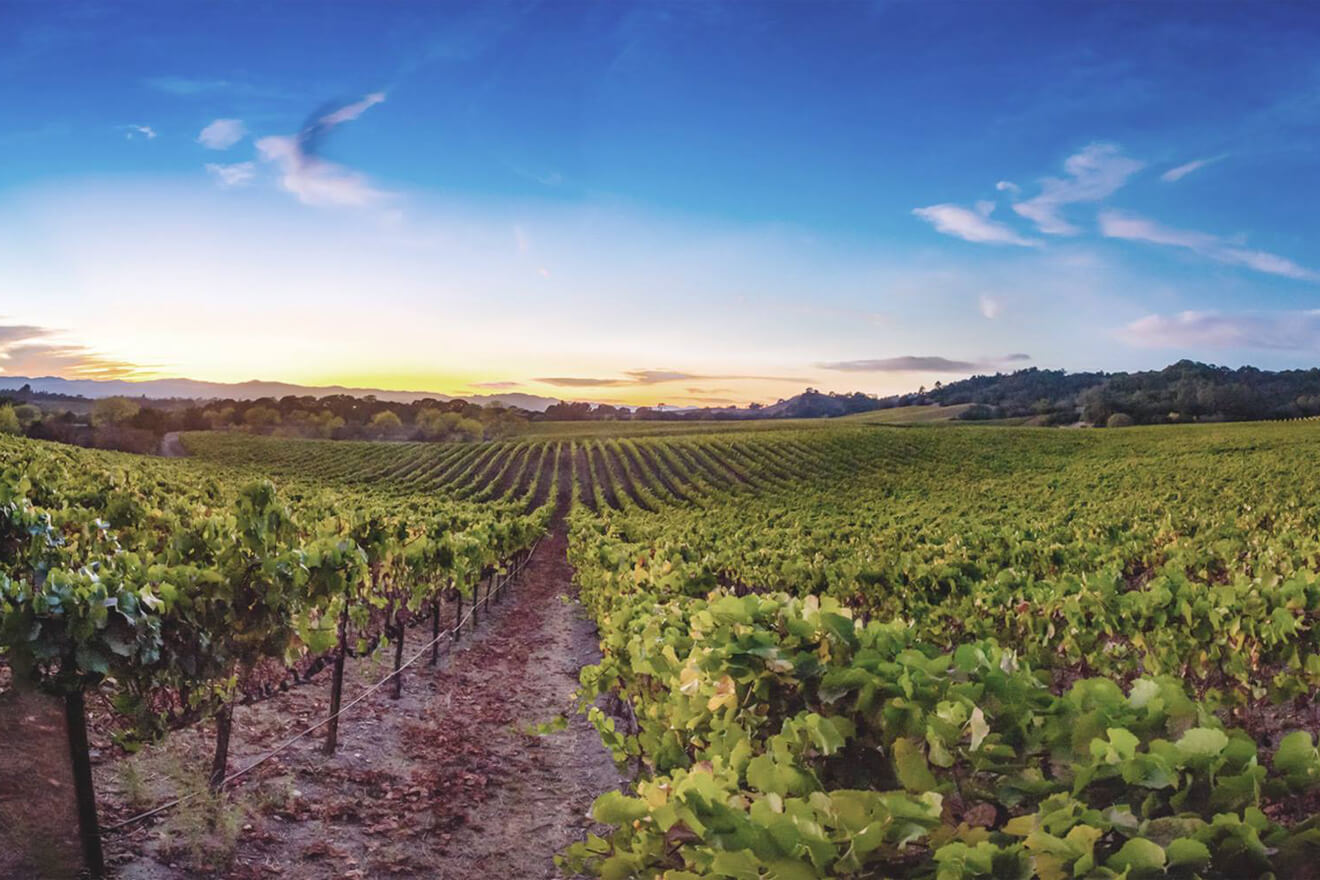10 Sonoma County Wineries with Beautiful Views