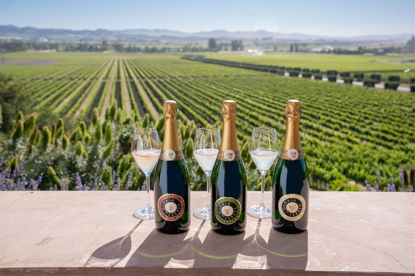 Best Sparkling Wines of Sonoma County