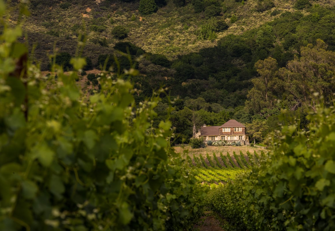 8 Best Spots for Wine Tasting in Sonoma