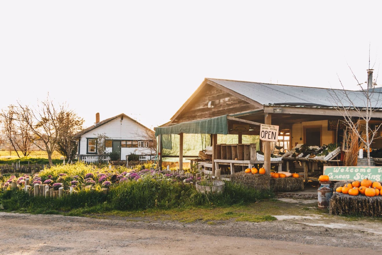 Top 10 Things to do in Petaluma