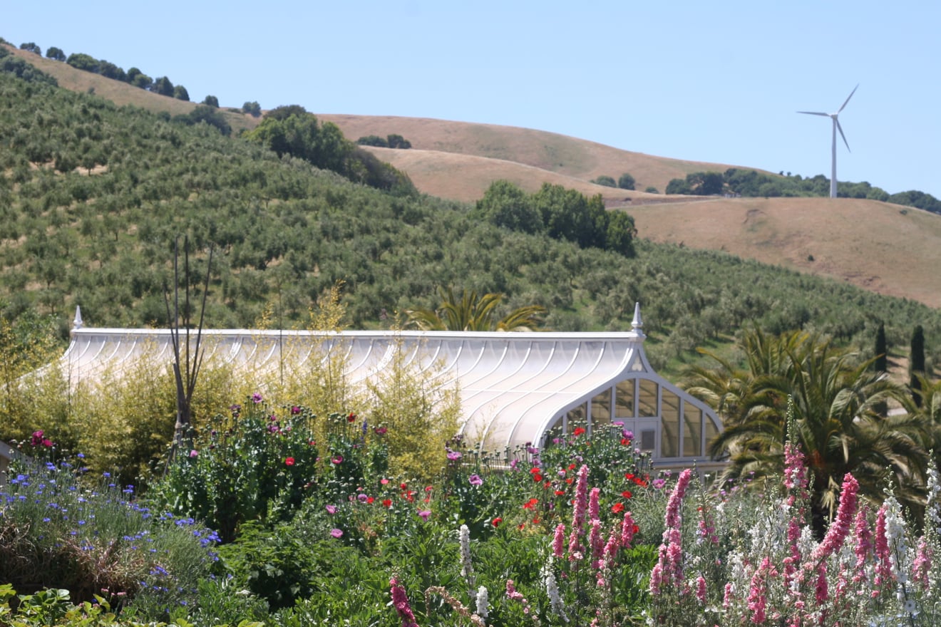 Top 10 Things to do in Petaluma