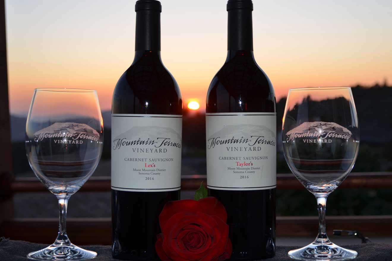 Ledson Overdelivers in Sonoma Wine Country Experiences