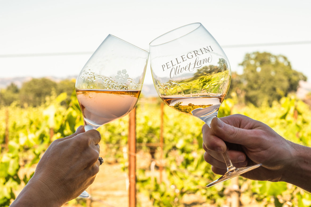 Best Santa Rosa Wineries To Try in a Weekend