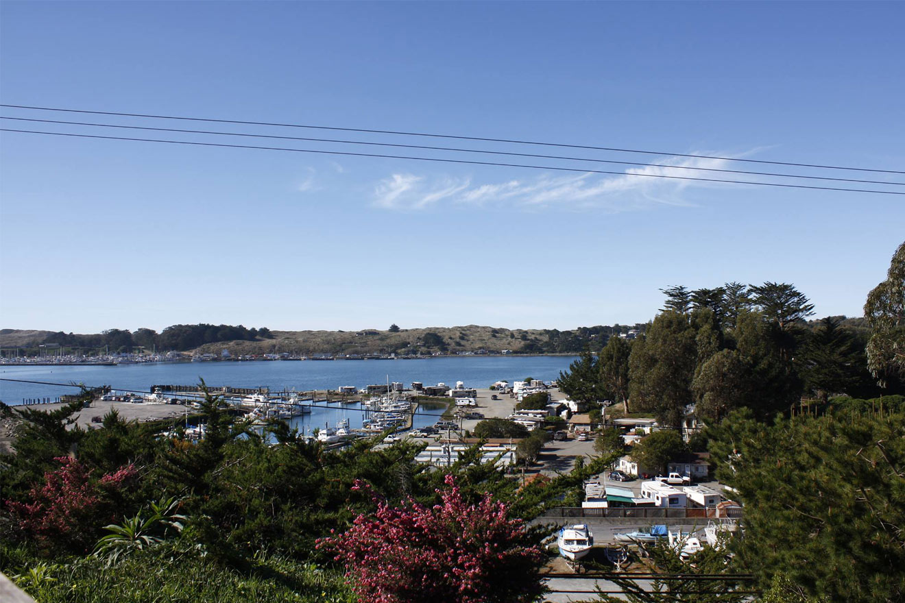 The Best Restaurants in Bodega Bay