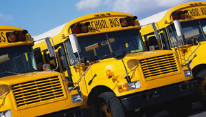 Thumbnail image for School bus