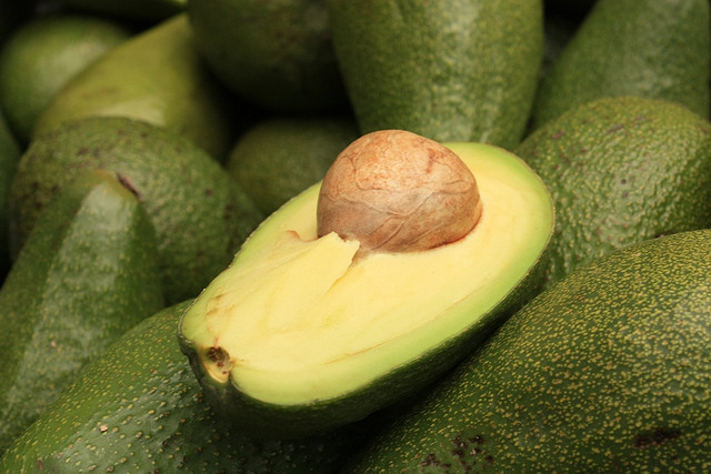 avogado