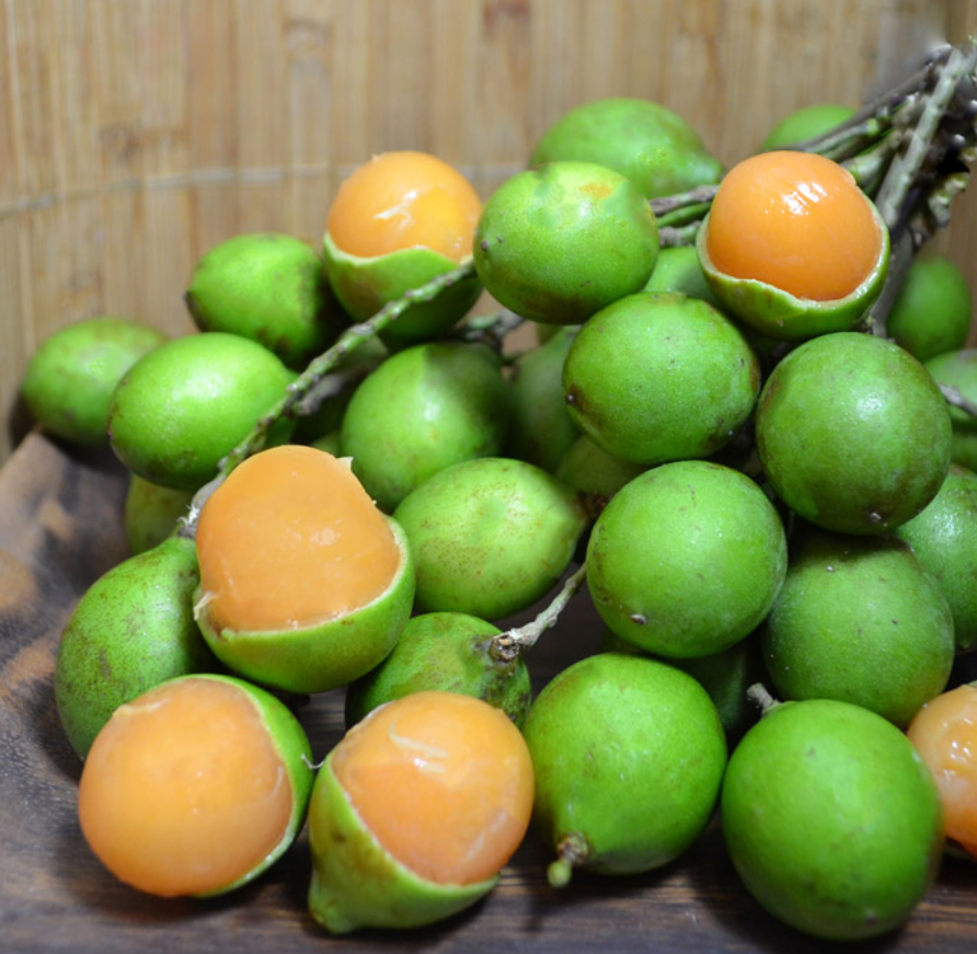 guinep