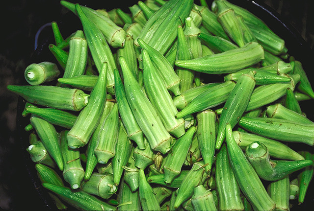 callaloo