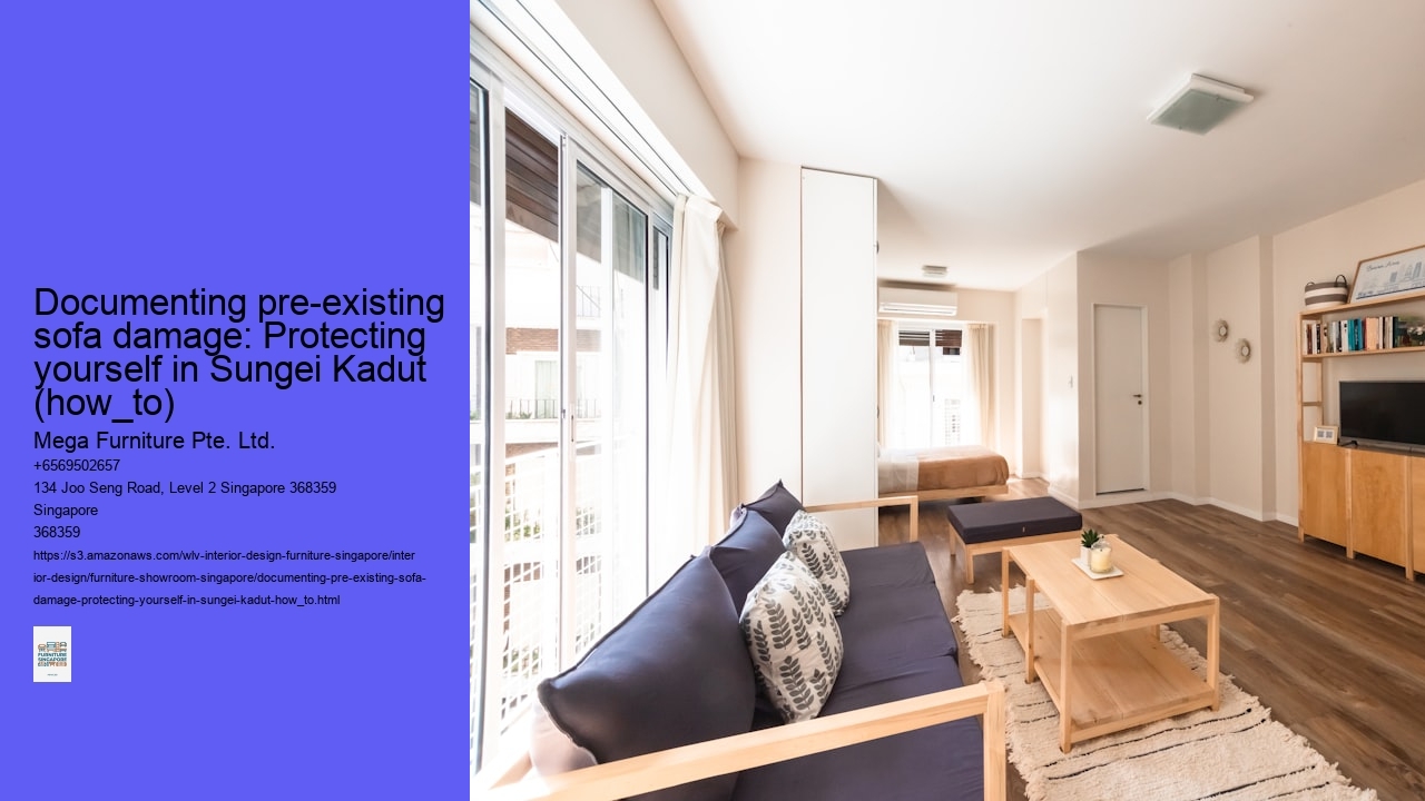 Documenting pre-existing sofa damage: Protecting yourself in Sungei Kadut (how_to)