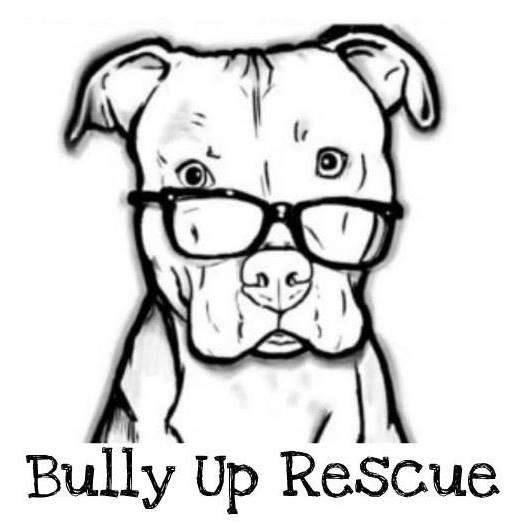 Image: Bully Up Rescue logo, Bully Up Rescue Facebook page.