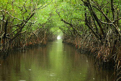 Clean Water Rule