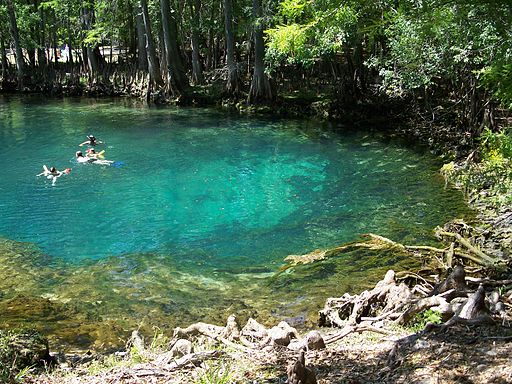 Manatee Springs State Park Florida springs041 In: Water activist opposes Nestlé’s plan to bottle 1 million gallons a day from Florida springs | Our Santa Fe River, Inc. (OSFR) | Protecting the Santa Fe River