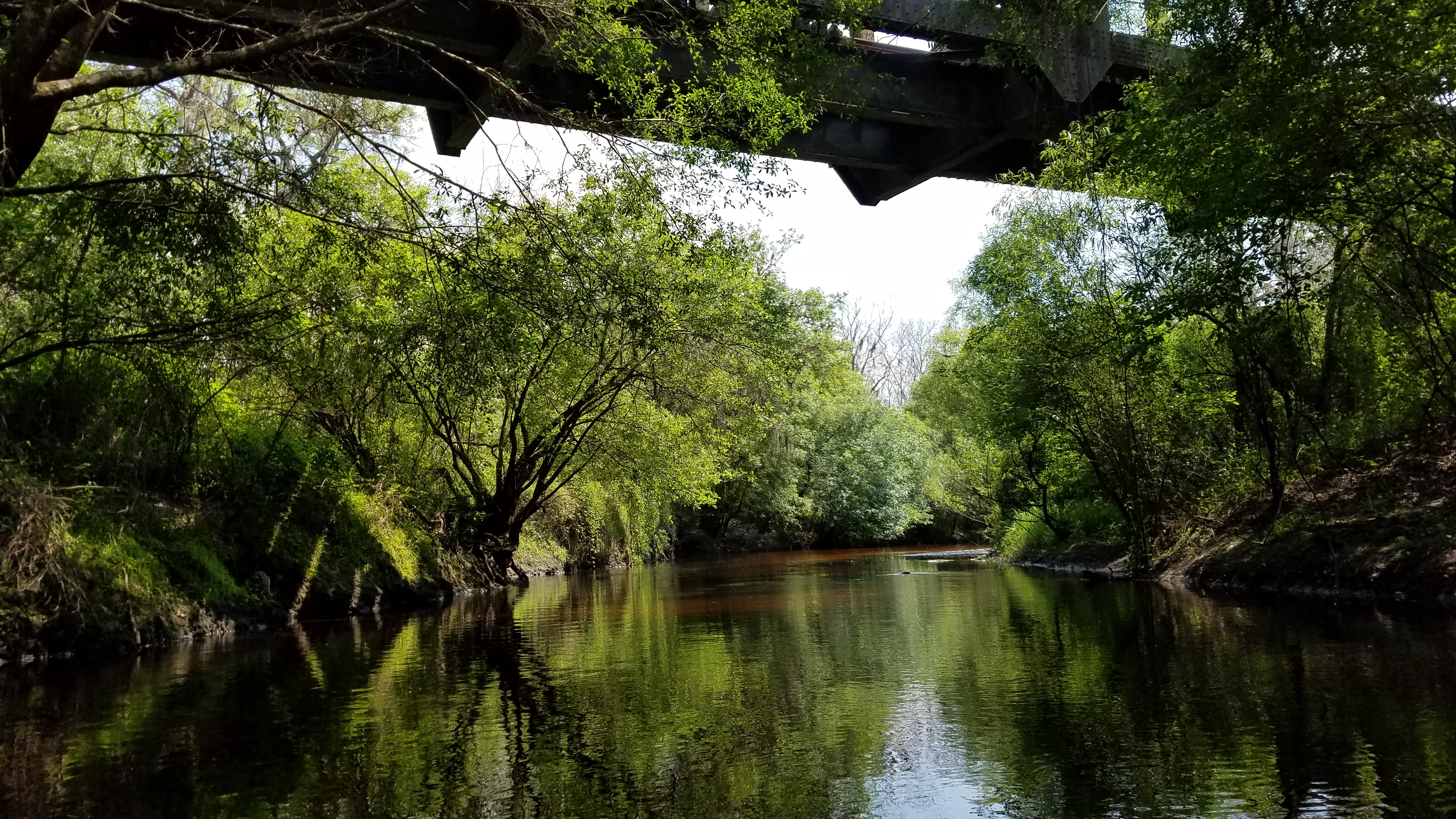Little Manatee River near Waimauma. By Seán Kinane (Apr. 2016).