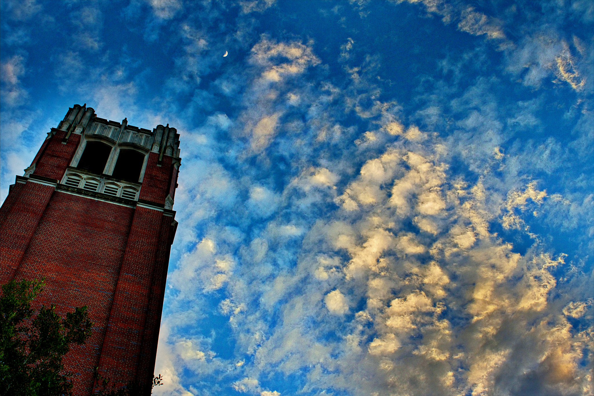University of Florida