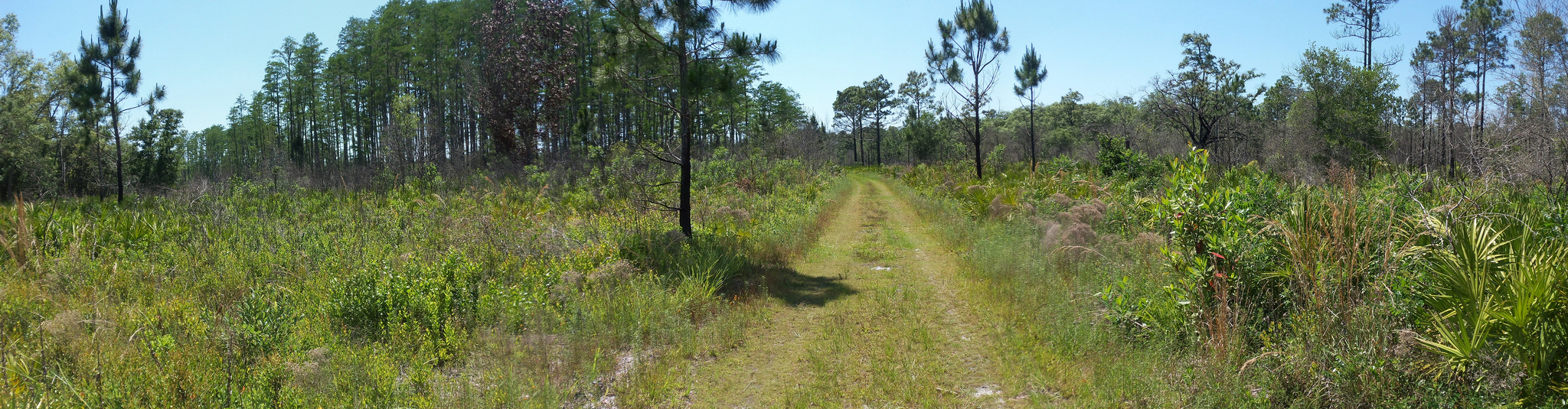 Serenova Pasco County