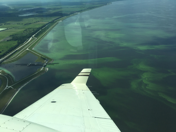 Algae bloom in Lake Okeechobee